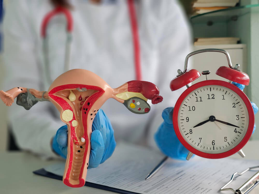 Understanding Perimenopause vs Menopause Clearly